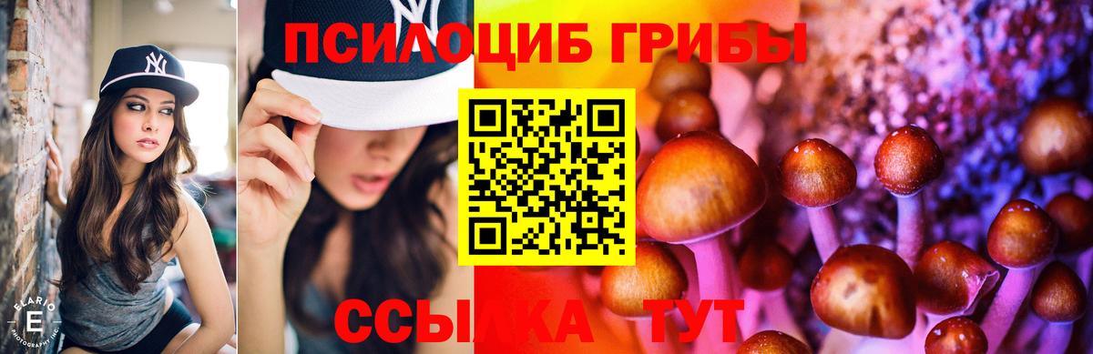 Псилоцибиновые грибы мухоморы Чита